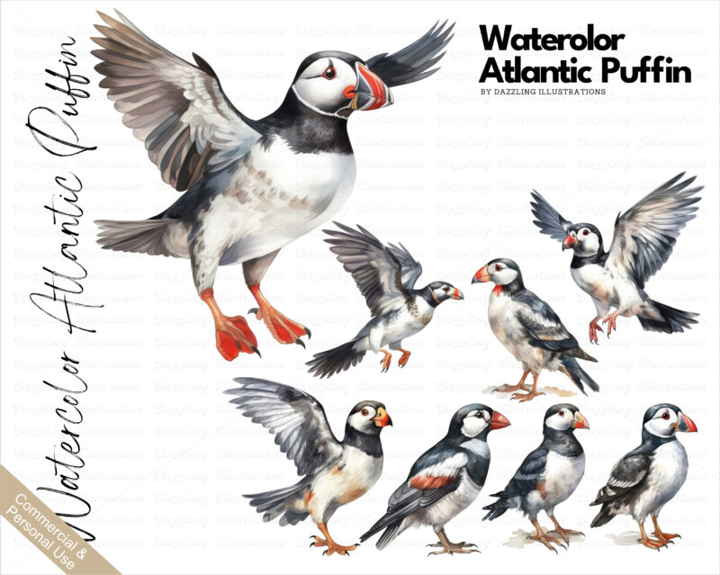 Watercolor Atlantic Puffin Seabird Set, watercolor birds, puffin PNG, baby shower, nursery art, printables