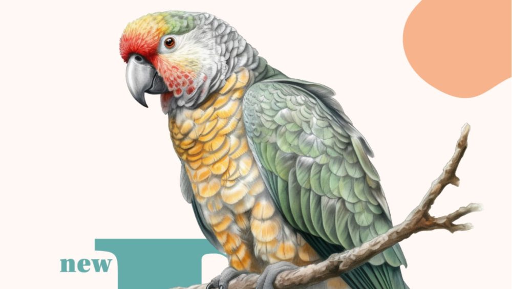 Nurturing Young Minds: Exploring Climate Change, Environmental Topics, and Endangered Animals