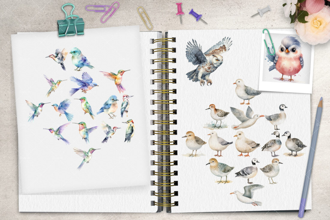 Watercolor Birds: Avian Artistry