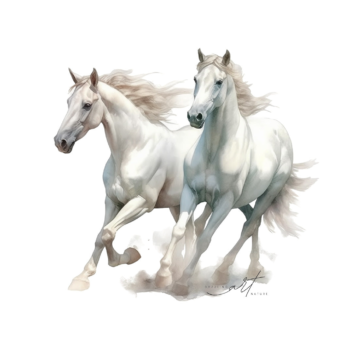 Premium High-Quality Watercolor Illustration Clipart Sets