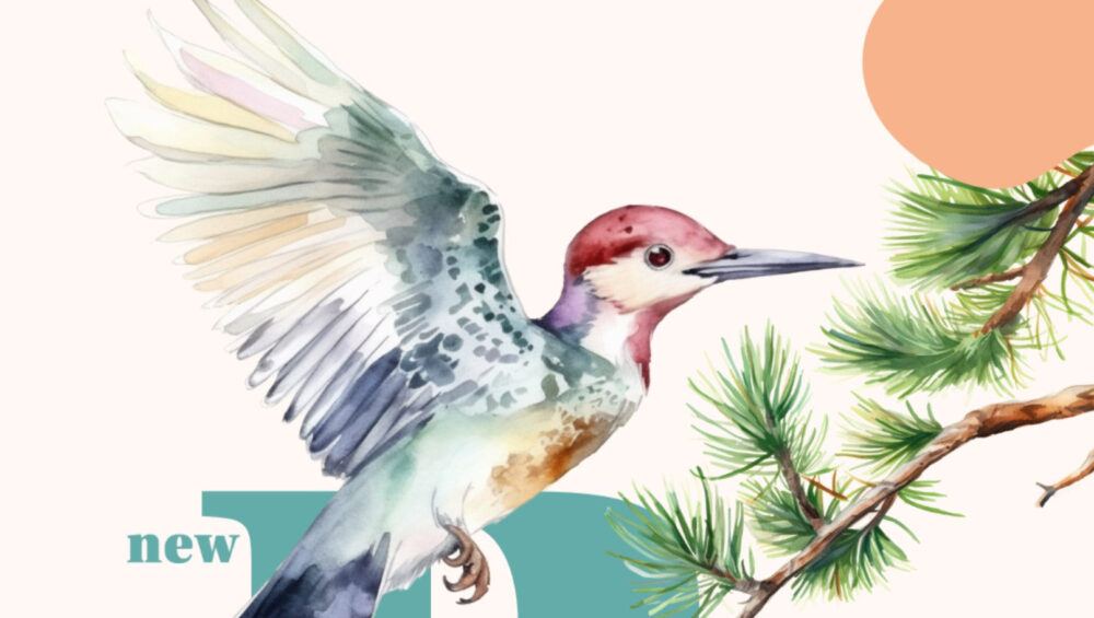 Crafting with Nature’s Palette: Incorporating Watercolor Animals and Birds into Your Creative Projects